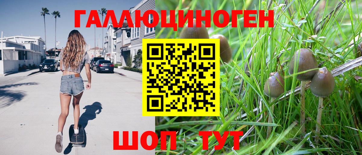 Галлюциногенные грибы GOLDEN TEACHER Шелехов