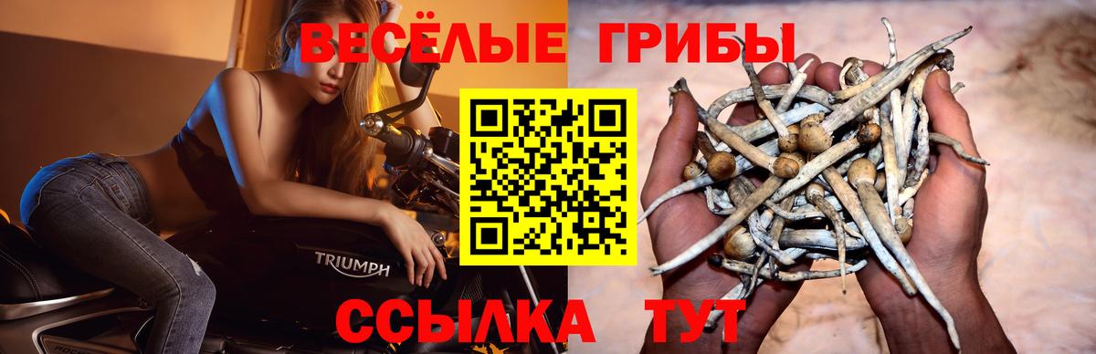 Бошки Шишки  МДМА  ГАШ  Шелехов  КОКАИН  Меф  Вход с VPN  МЕФ кристаллы 